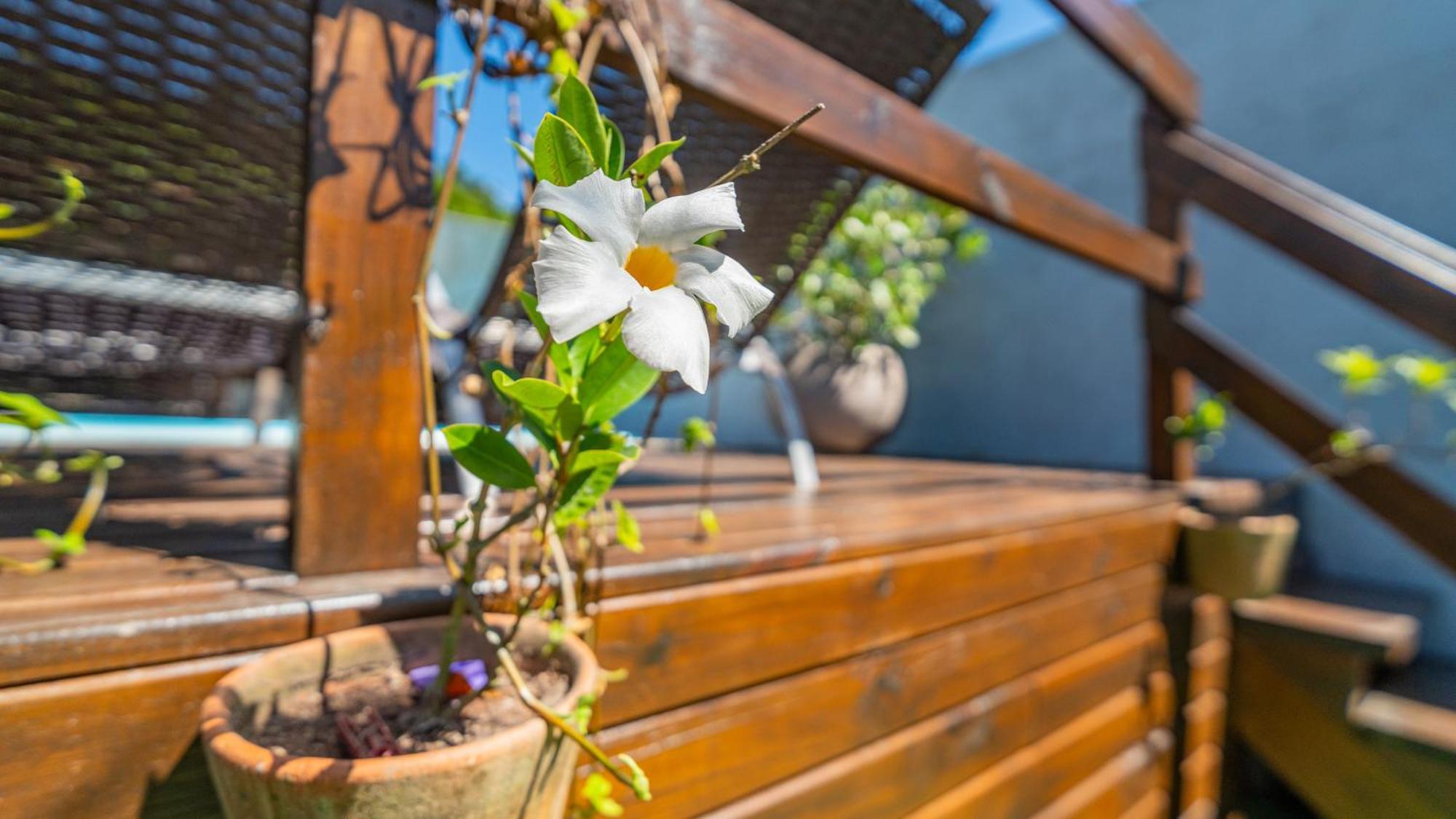 Residencial Com Piscina Possui Jacuzzi Aquecida Com Hidromassagem Bombinhas Exterior foto